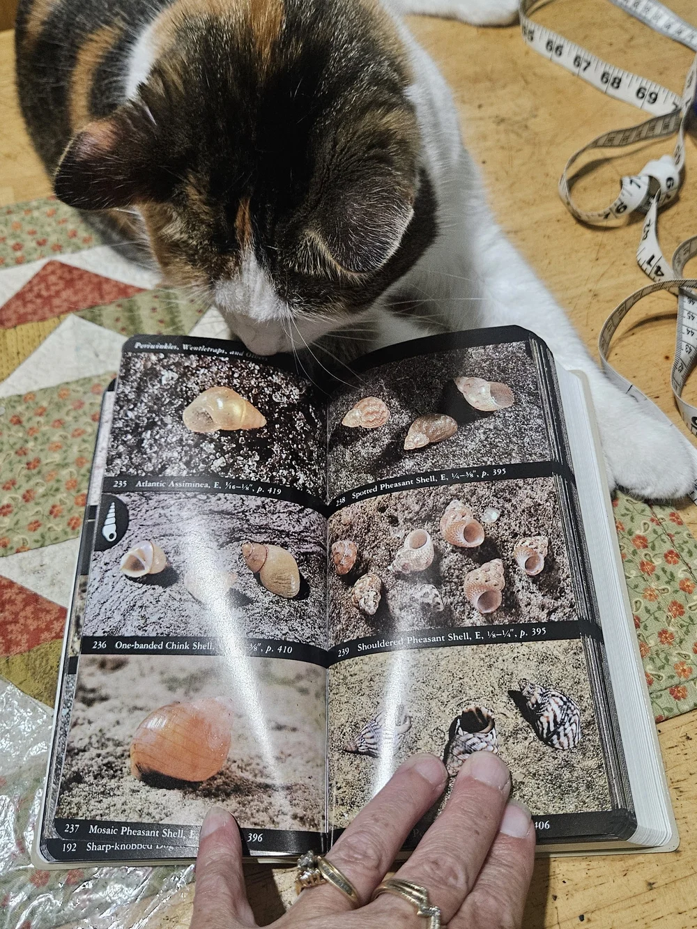 N/A field guide